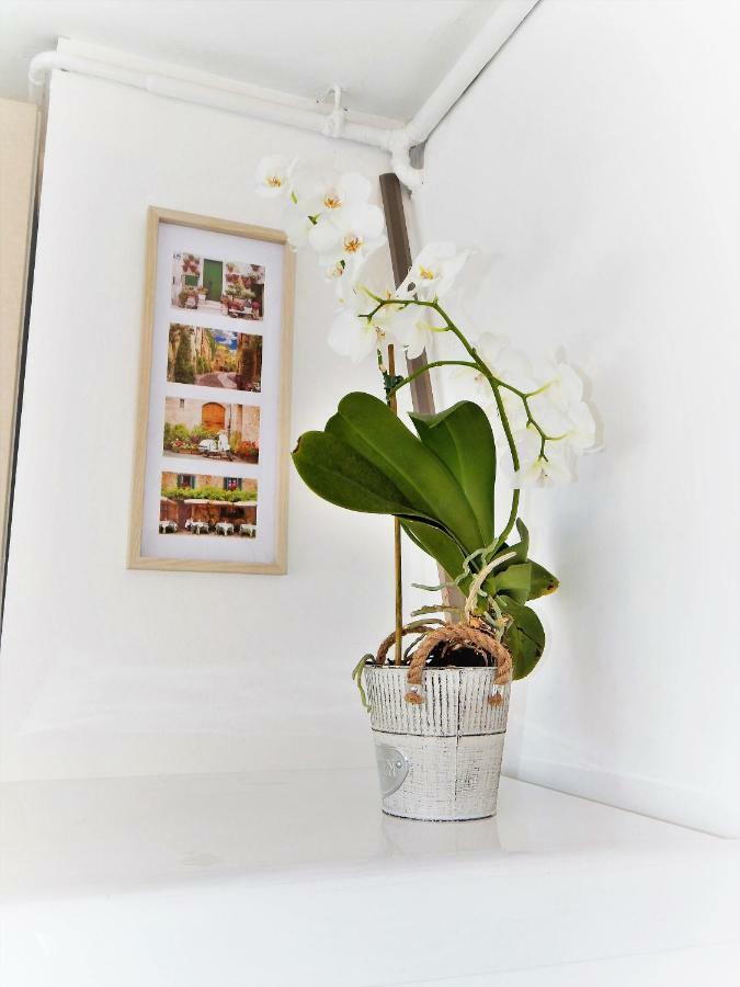 Studio Apartman Tvrtko Varaždin Buitenkant foto