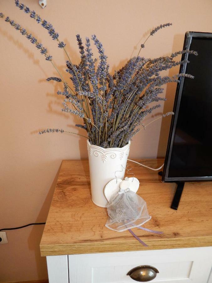 Studio Apartman Tvrtko Varaždin Buitenkant foto